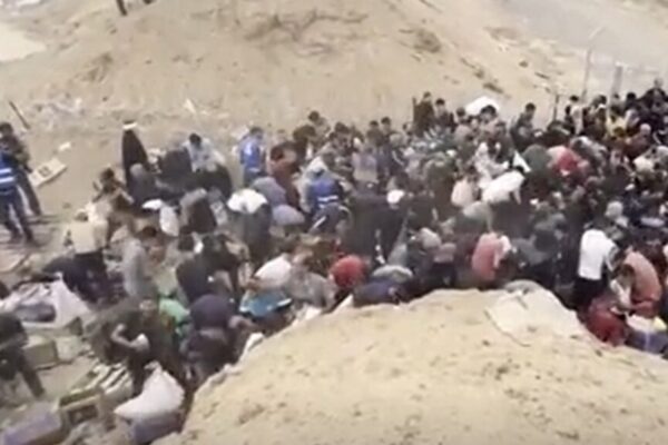 82 Palestinians Killed in Gaza