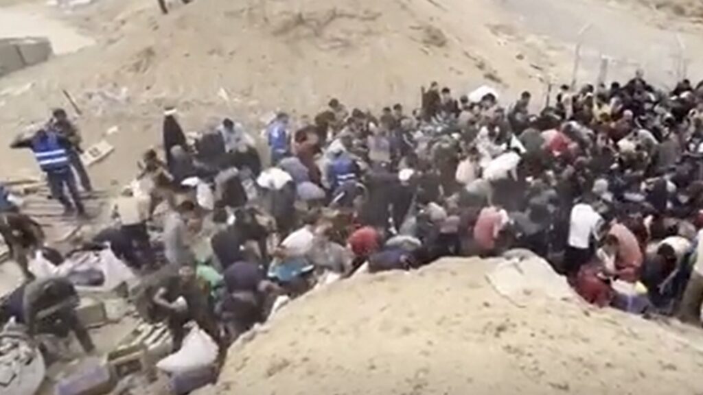 82 Palestinians Killed in Gaza