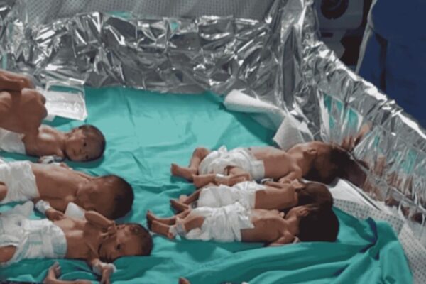 Gaza’s Hospitals at Breaking Point: Newborns Forced to Share Incubators Gaza Hospitals