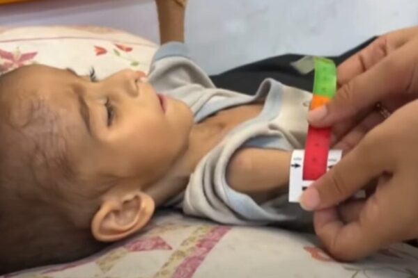 gaza crisis