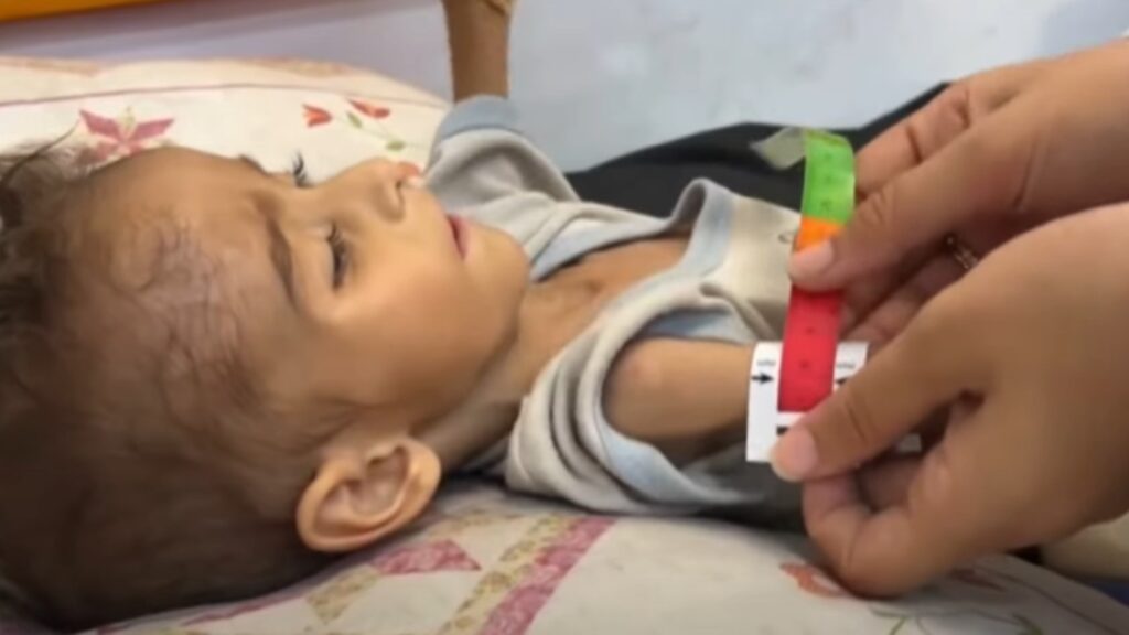 gaza crisis